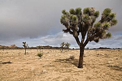 这还是EA？《战地6》PS5实体版偷跑 无需下载就能游玩